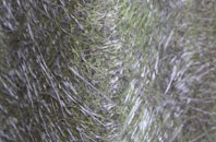 Great Comberton fibreglass roof work